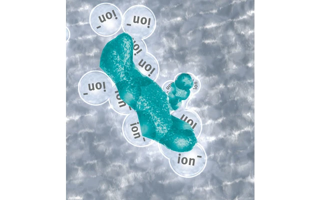 Lilie Frischwasserschutz WaTu Von Certec 5 Lilie Frischwasserschutz WaTu Von Certec – Bild 3