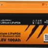 Liontron LiFeP04 Smart Bluetooth BMS Lithium Batterie 12,8 V / 100 Ah 2 Liontron LiFeP04 Smart Bluetooth BMS Lithium Batterie 12,8 V / 100 Ah -Reich || Truma || Dometic Verkaufsgeschäft 348695 2235583